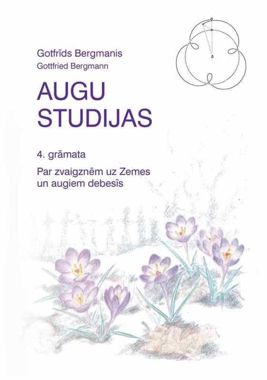 Plant studies, book 4, G. Bergmanis