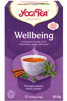 BIO Tea, for well-being, 17 packets, 30.6g
